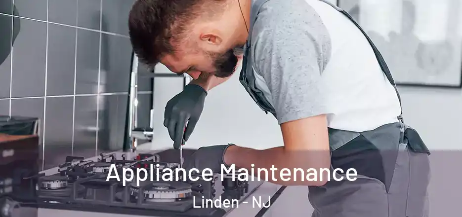 Appliance Maintenance Linden - NJ