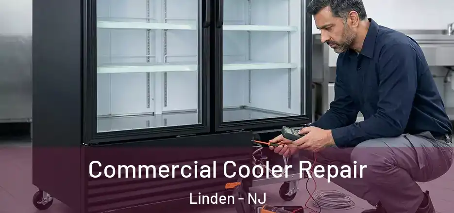 Commercial Cooler Repair Linden - NJ