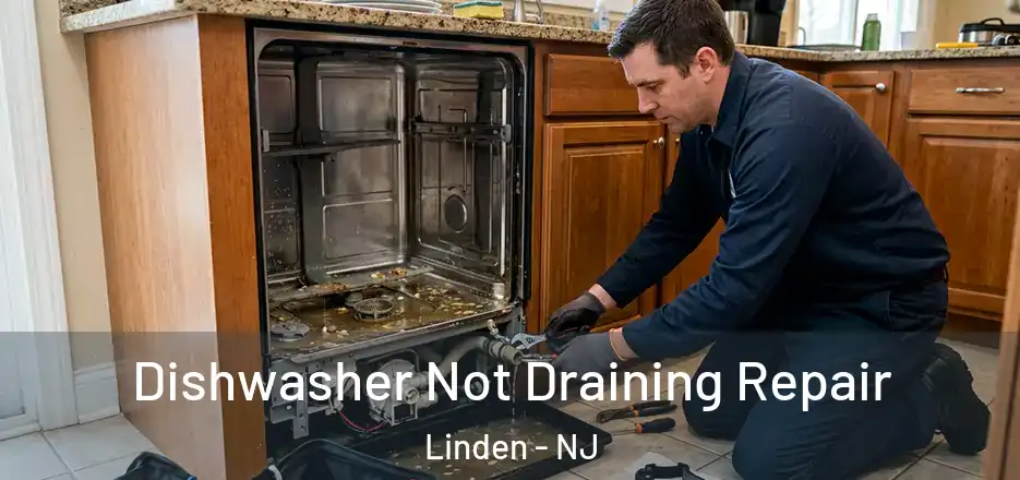 Dishwasher Not Draining Repair Linden - NJ