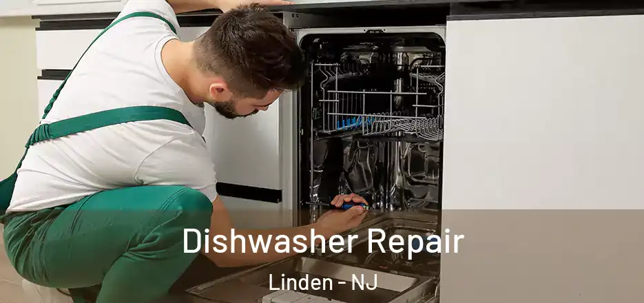  Dishwasher Repair Linden - NJ