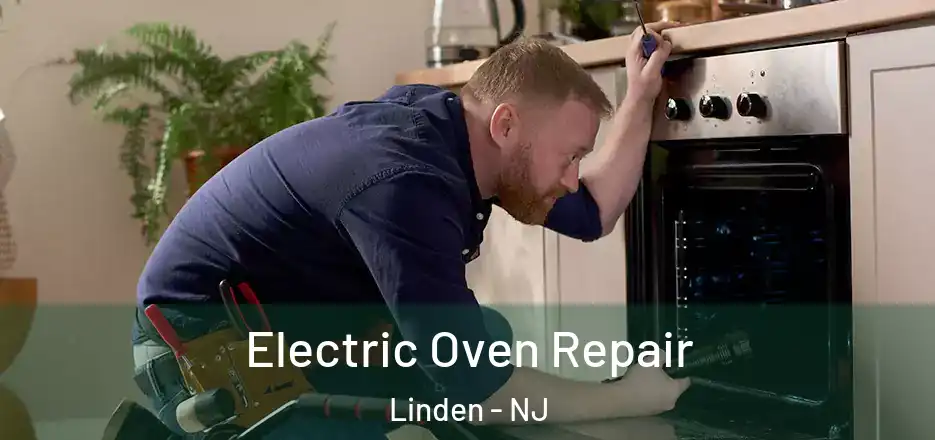 Electric Oven Repair Linden - NJ