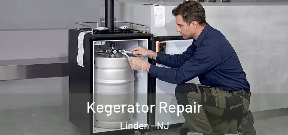  Kegerator Repair Linden - NJ