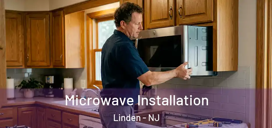 Microwave Installation Linden - NJ