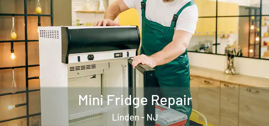 Mini Fridge Repair Linden - NJ