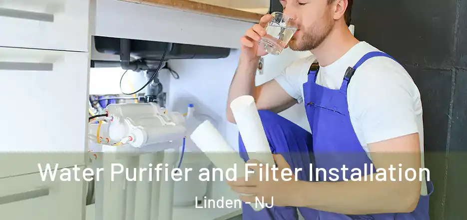  Water Purifier and Filter Installation Linden - NJ